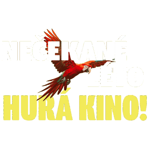 Barbora Poláková Nečekané Léto Sticker by falconfilmovenovinky