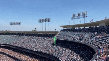 Los Angeles Dodgers GIF by Storyful