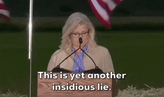 Liz Cheney Wyoming GIF by GIPHY News