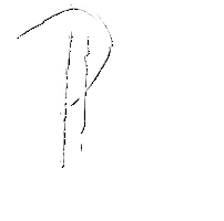 P Sticker