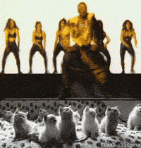 Mc Hammer Gifs Get The Best Gif On Giphy
