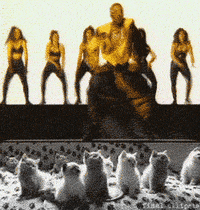 Can T Touch This Gif By Arm Hammer Uk The Exceptional Experience Find Share On Giphy