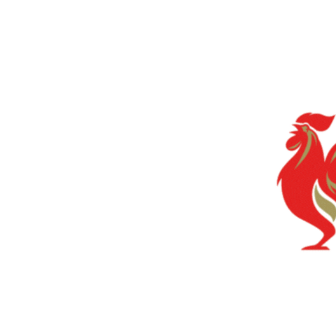 Gallo Dorado Alcsa Sticker