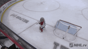 Fail Ice Hockey GIF by NHL