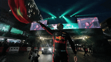 david coulthard dc GIF by Red Bull Racing