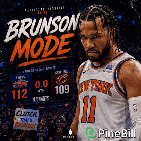 New York Knicks Basketball GIF by PineBill