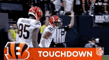 Bengal Tiger Football GIF by NFL