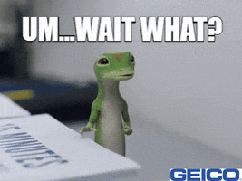 What Confused GIF by GEICO