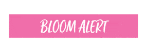 Garden Bloom Sticker by Resource Central