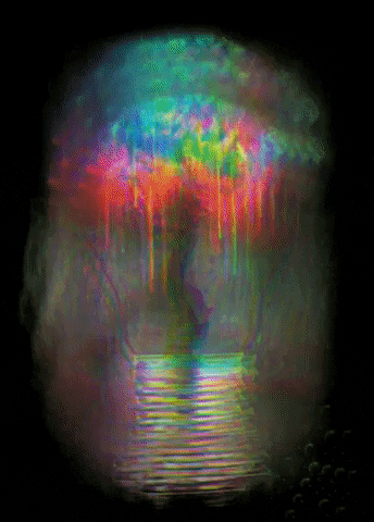 Lightonnoff GIF
