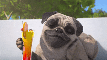 Dog Love GIF by TeamTO
