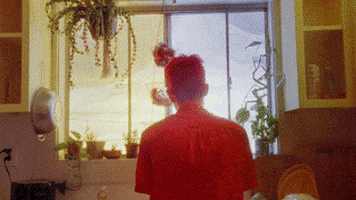 200.gif?cid=fc005b081dcb12f129f7f19d407e14340ba3f0d9ec55182c&rid=200.gif&ct=g