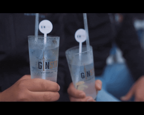 GINSTR - Stuttgart Dry Gin drink cheers gin prost GIF