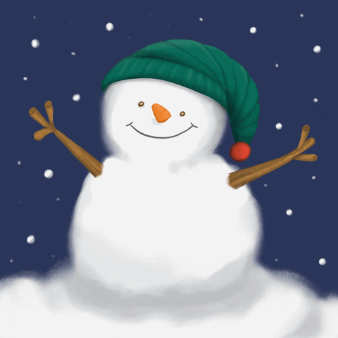 Snow Man GIFs - Find & Share on GIPHY