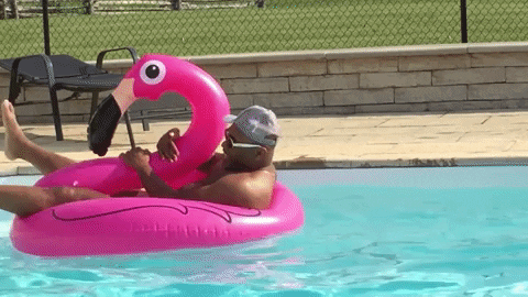 Pool Floats GIFs - Get the best GIF on GIPHY