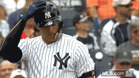 New York Baseball GIF by New York Yankees - Find & Share on GIPHY
