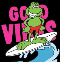 Good Vibes Beach GIF by Señor frogs