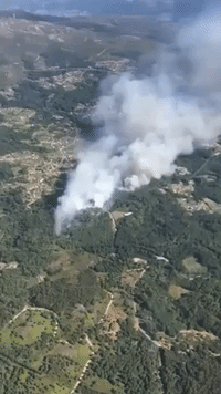 Wildfires in Northwestern Spain Brought Under Control