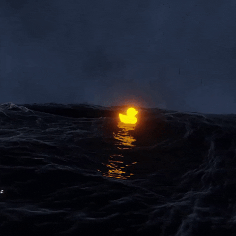 Glow Rubber Duck GIF by Graphite Cafe