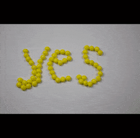 Stop Motion Yes GIF