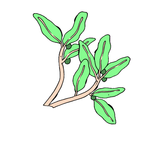 Carnaval Planta Sticker by VozComunicacao