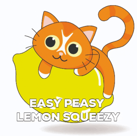 jelly cat lemon