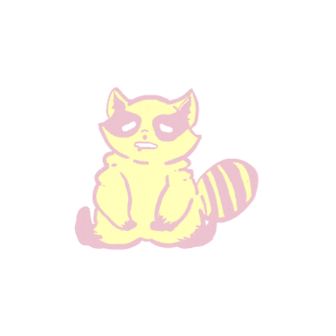 Raccon GIF