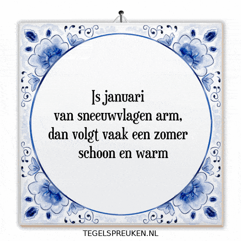 Humor Nl GIF by Tegelspreuken.nl