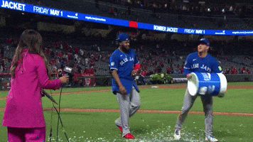 Blue Jays Sport GIF by MLB