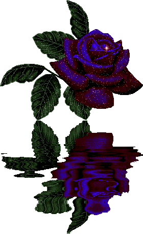 blue rose STICKER