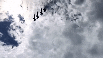 GIF by VISIT FLORIDA