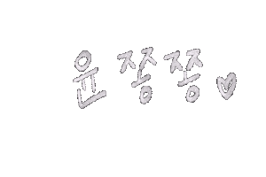 세븐틴 Carat Sticker