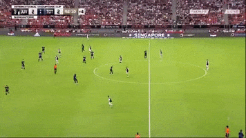 Tottenham GIF