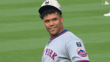 Juan Soto Baseball GIF by New York Mets