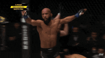 Mighty Mouse Win GIF by ONE Championship