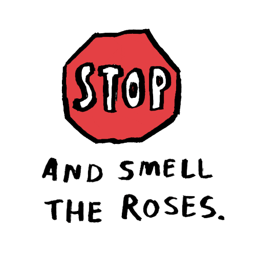 Stop and smell the roses Stickers - Find & Share on GIPHY Stop And Smell The Roses Stickers - Find & Share on GIPHY