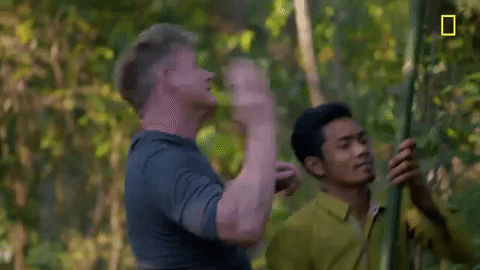 Gordon Ramsay Bug GIF by National Geographic Channel
