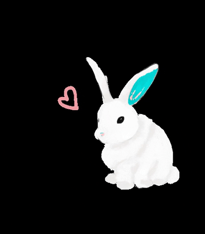 mariafrois coelho love rabbit miafrois GIF