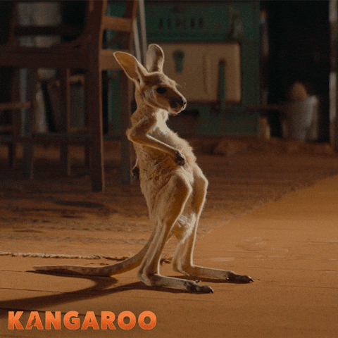 Deborah Mailman Kangaroo GIF by STUDIOCANAL