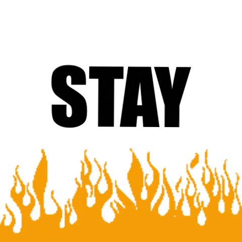 Stay Home GIF