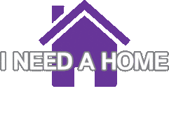 Cat Adopt Sticker by Humane Society of Southern Arizona