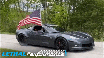 America Burnout GIF by TeamLethal