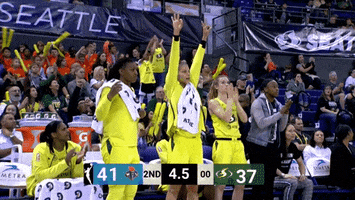 Excited Hands Up GIF by WNBA