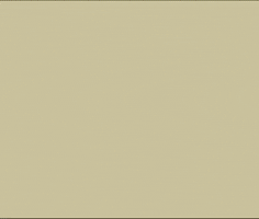 Meowl GIF