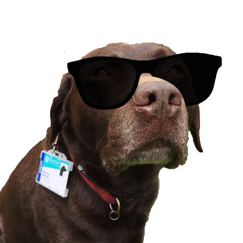 Barton Peveril Sticker