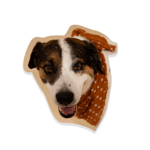 Sticker by Shoulder