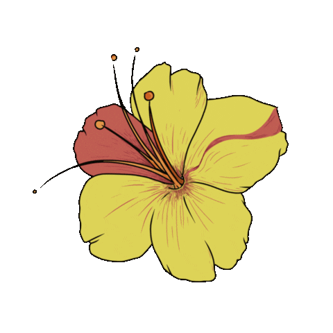 Animated Sticker