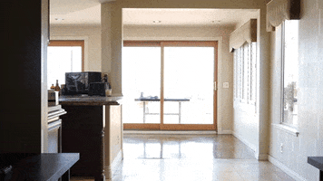 paws  GIF