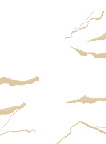 Rips Homestage Sticker by Laeds Band