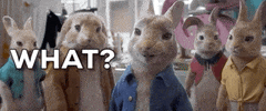 Sony What GIF by Peter Rabbit Movie